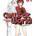 CELLS AT WORK 01