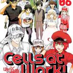 CELLS AT WORK 06