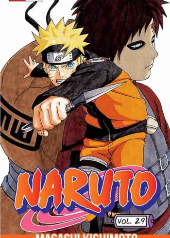 NARUTO 29