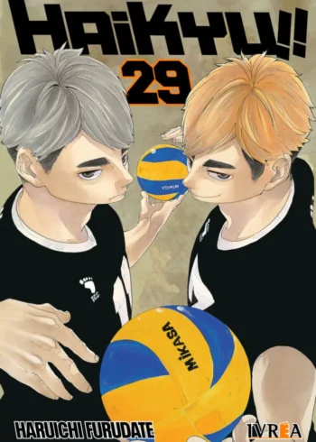 HAIKYU!! 29