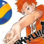 HAIKYU!! 33