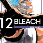 BLEACH REMIX 12