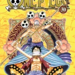 ONE PIECE 30