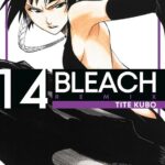 BLEACH REMIX 14