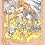 CARDCAPTOR SAKURA (EDICION DELUXE) 02