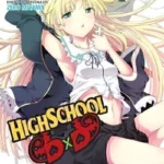 HIGHSCHOOL DXD 02